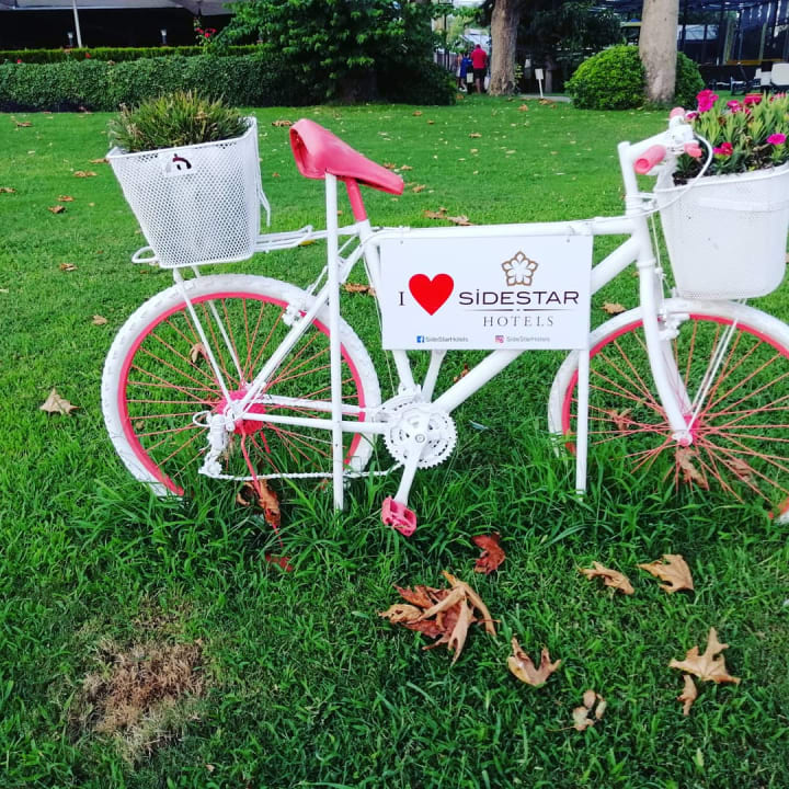 Gartenanlage Side Star Elegance