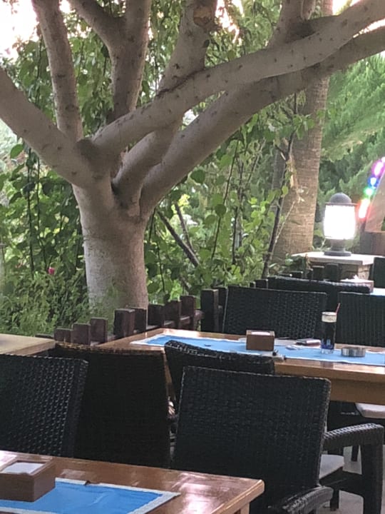 Gastro Leda Beach Hotel