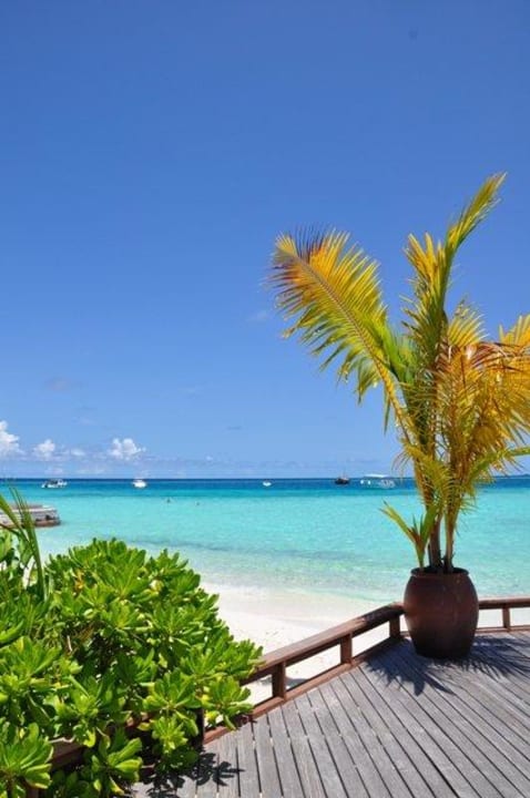 Die Farben auf Baros Baros Maldives Resort