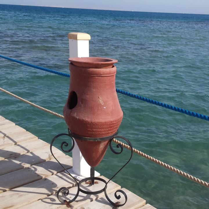 Strand Steg Pickalbatros Alf Leila Wa Leila Resort - Neverland Hurghada