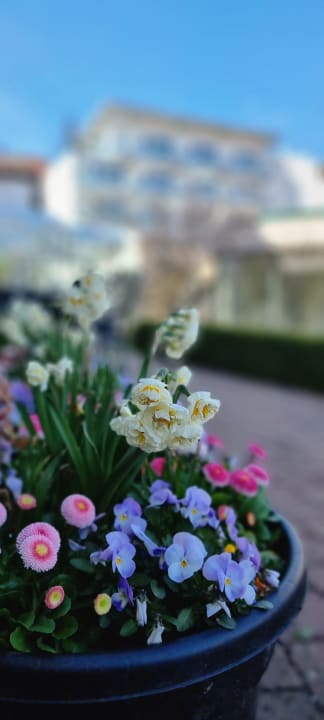 Gartenanlage Romantischer Winkel RoLigio® & Wellness Resort
