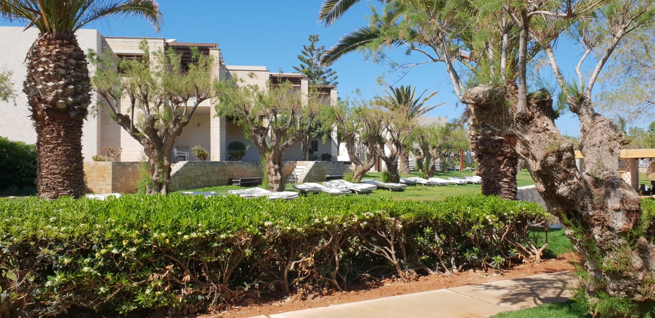 Zimmer Phãea Cretan Malia