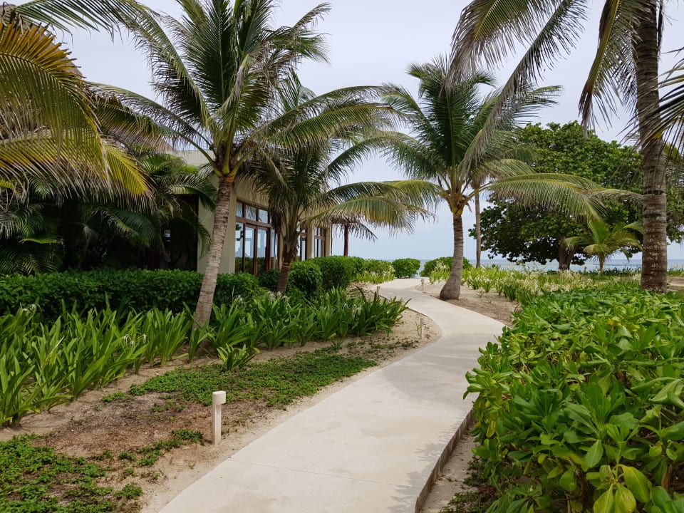 Gartenanlage Akumal Bay Beach & Wellness Resort