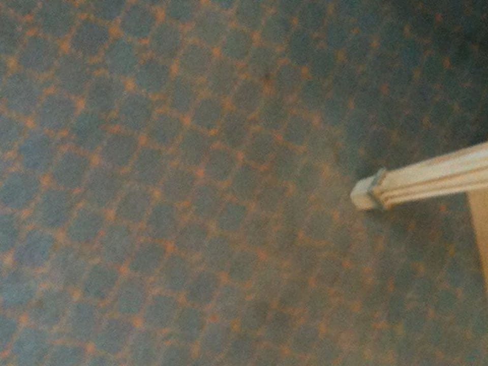 Schmutziger Teppich Hipotels Eurotel Punta Rotja Golf & Spa