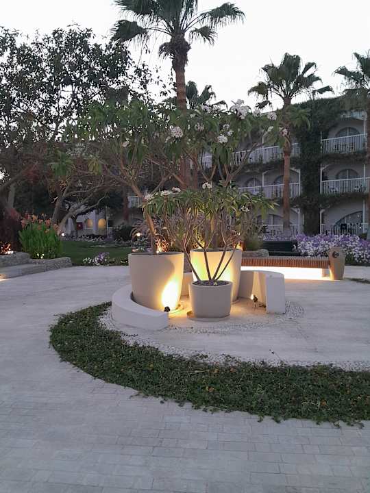 Gartenanlage Desert Rose