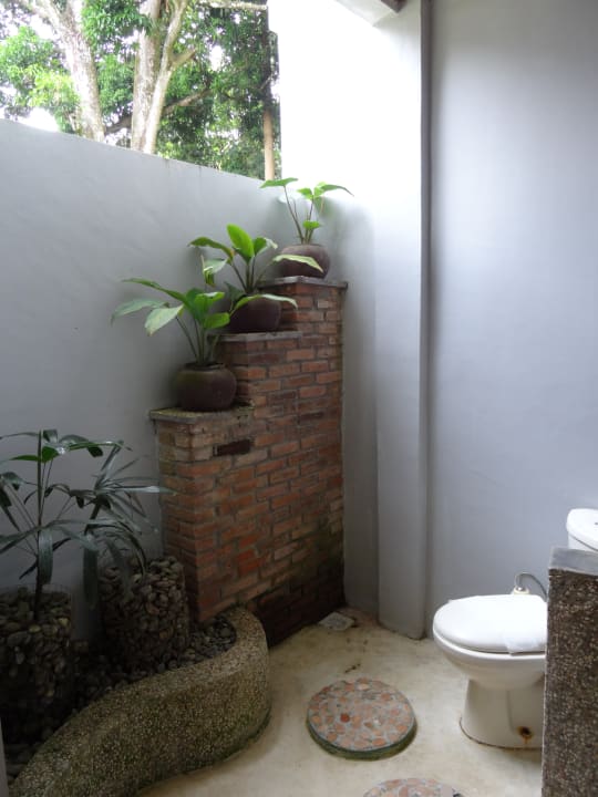 Zimmer Ecolodge Bukit Lawang