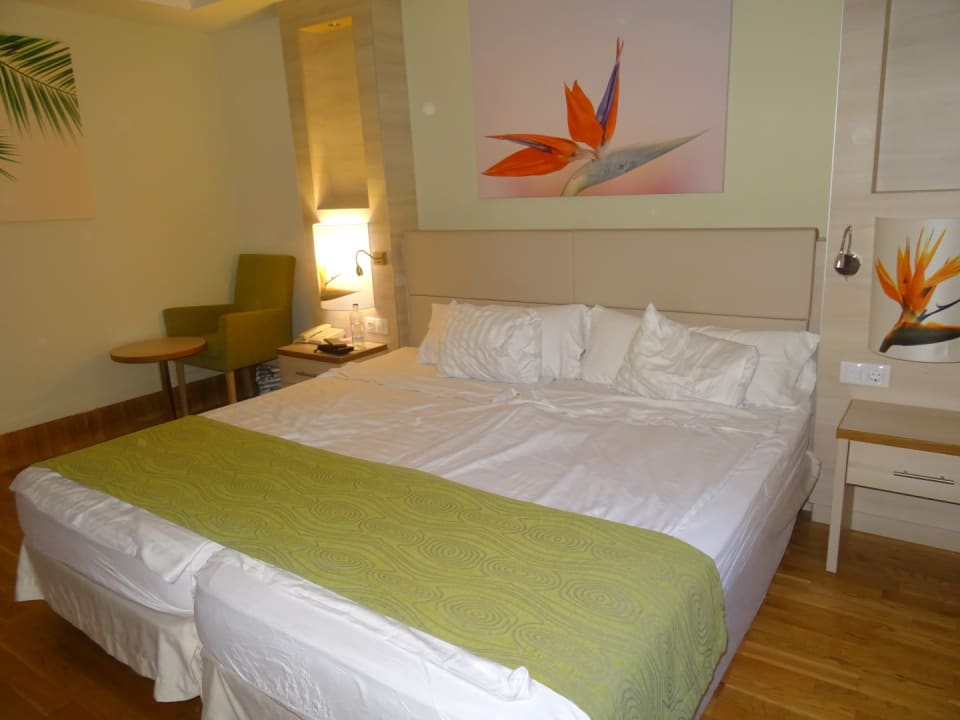 Zimmer Bull Costa Canaria & Spa - Adults only