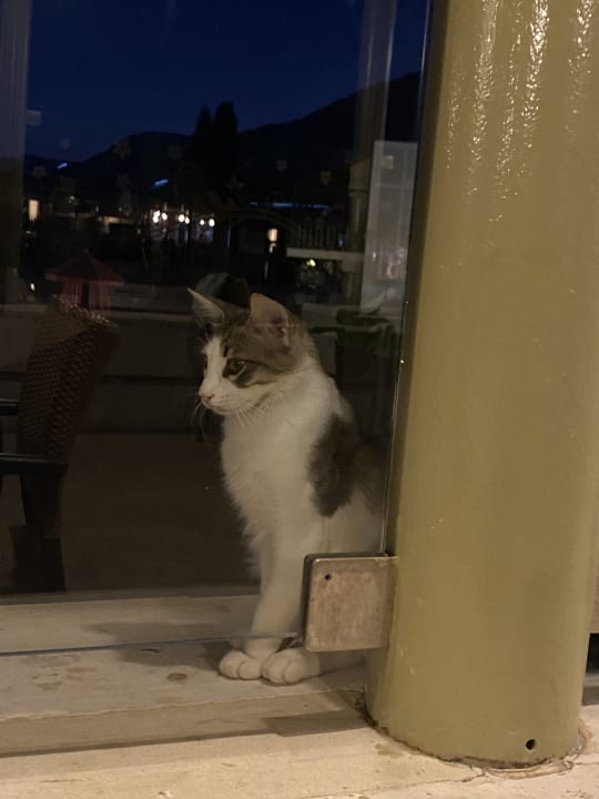 Gartenanlage Limak Limra Hotel & Resort