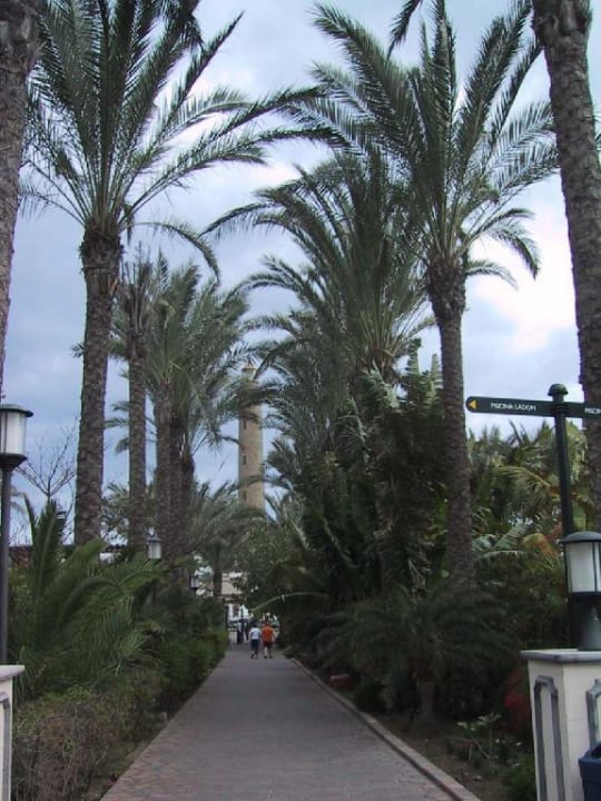 Weg zum Strand Lopesan Costa Meloneras, Resort & Spa