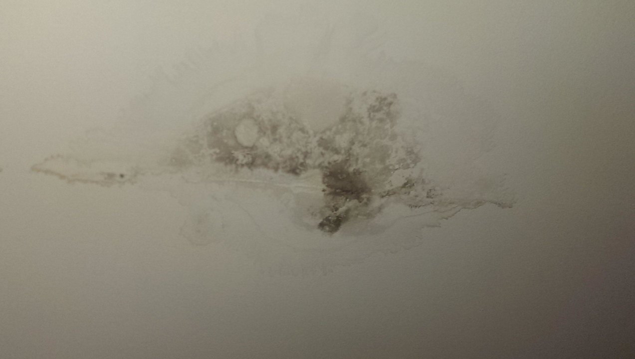 Schimmel an der Decke Alan Xafira Deluxe Resort & Spa