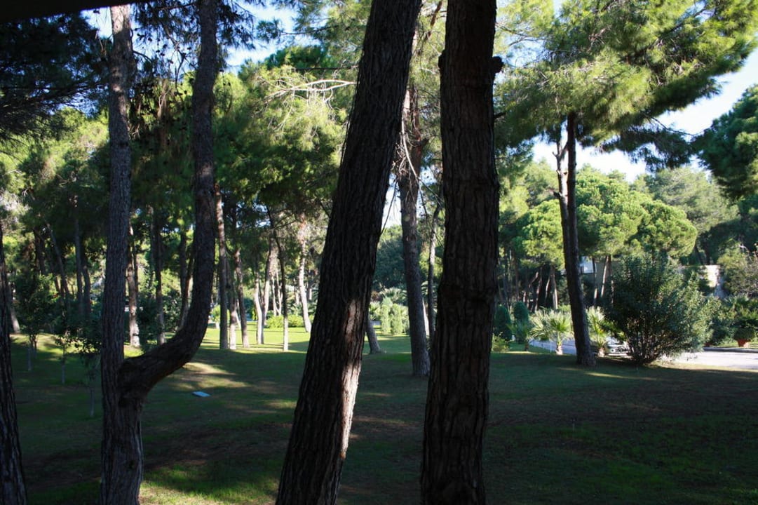 Ausblick vom Sparzimmer Arcanus Hotels Sorgun