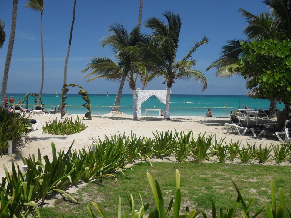 Hotel Grand Palladium Bávaro Suites Resort & Spa Grand Palladium Select Bávaro Resort & Spa