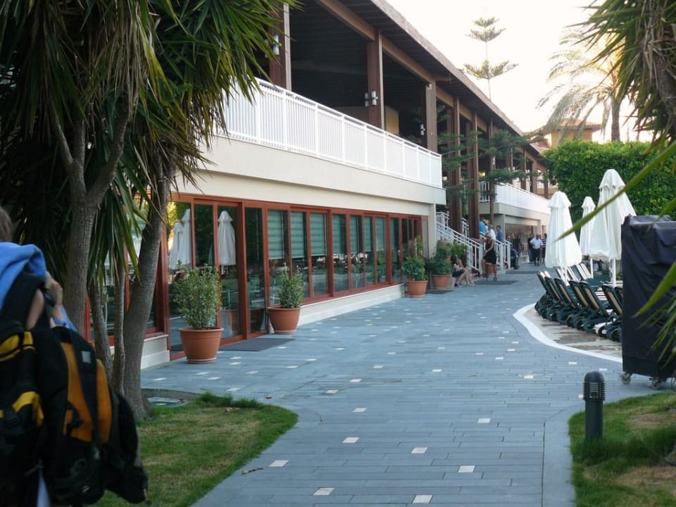 Restaurantgebäude, da wächst ein Baum durchs Dach Club Grand Side