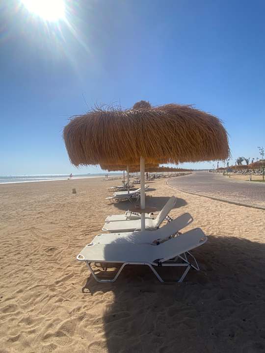 Strand JAZ Elite Asteria