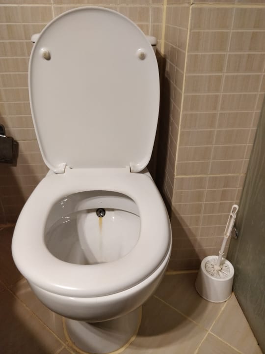 Zimmer Three Corners Sea Beach Resort