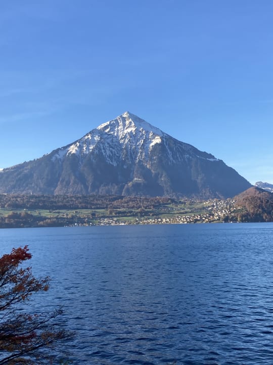 Ausblick Beatus Wellness- & Spa-Hotel