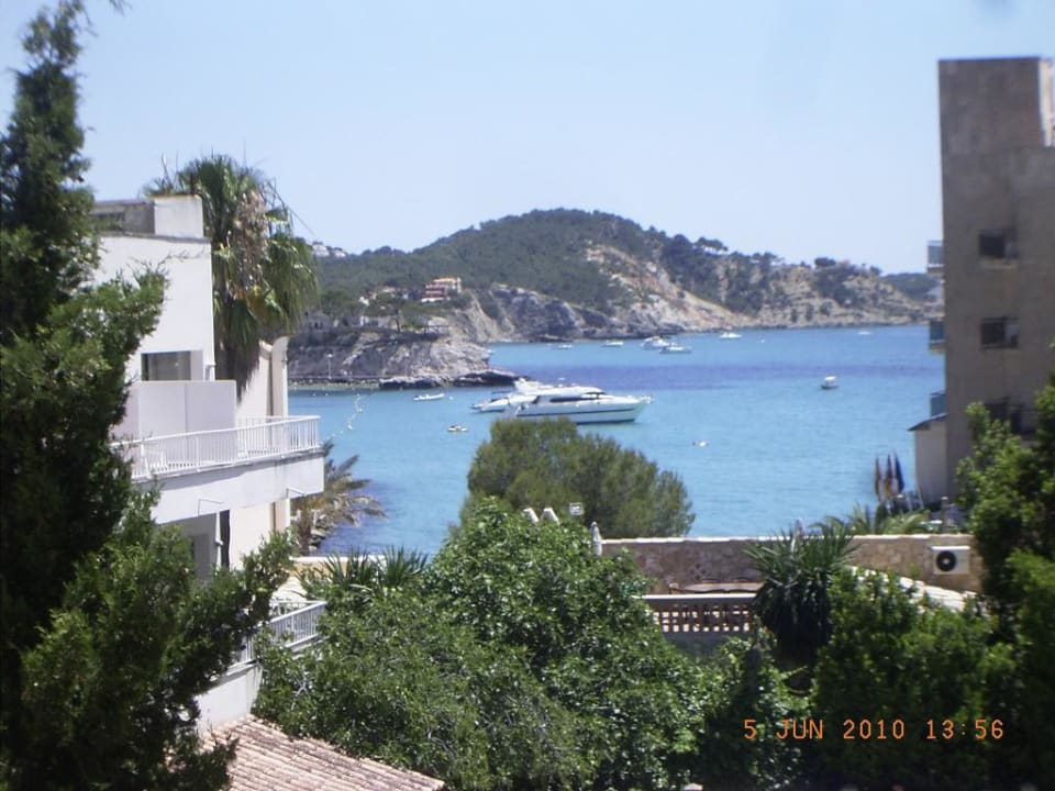 Blick aufs Meer FLOR los Almendros Hotel
