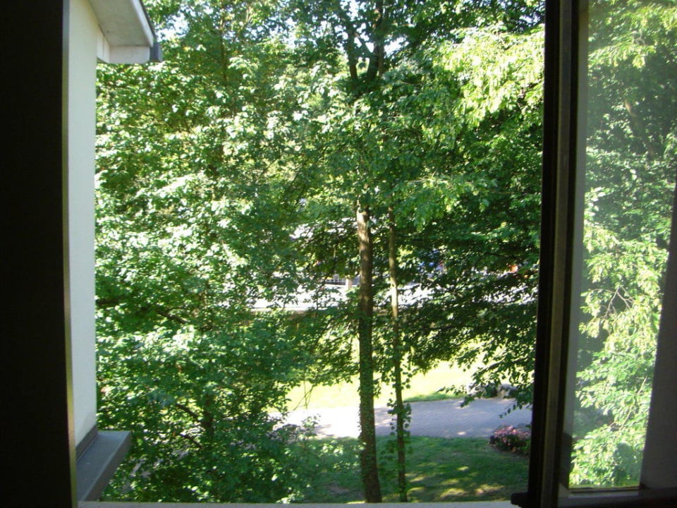 Blick aus dem Fenster Hotel du Parc