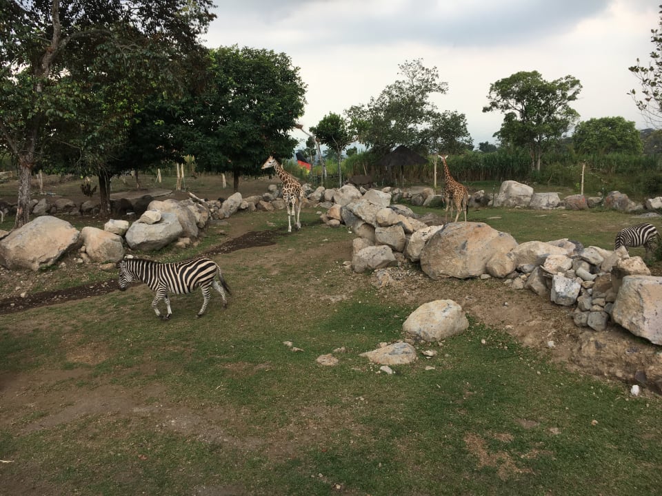 Außenansicht Baobab Safari Resort