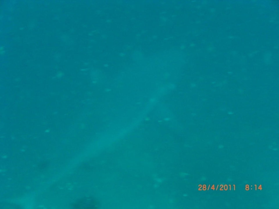 Grauriffhai Kuramathi Maldives