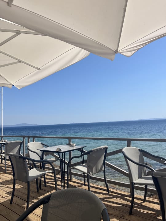Gastro Blue Dolphin Resort Hotel