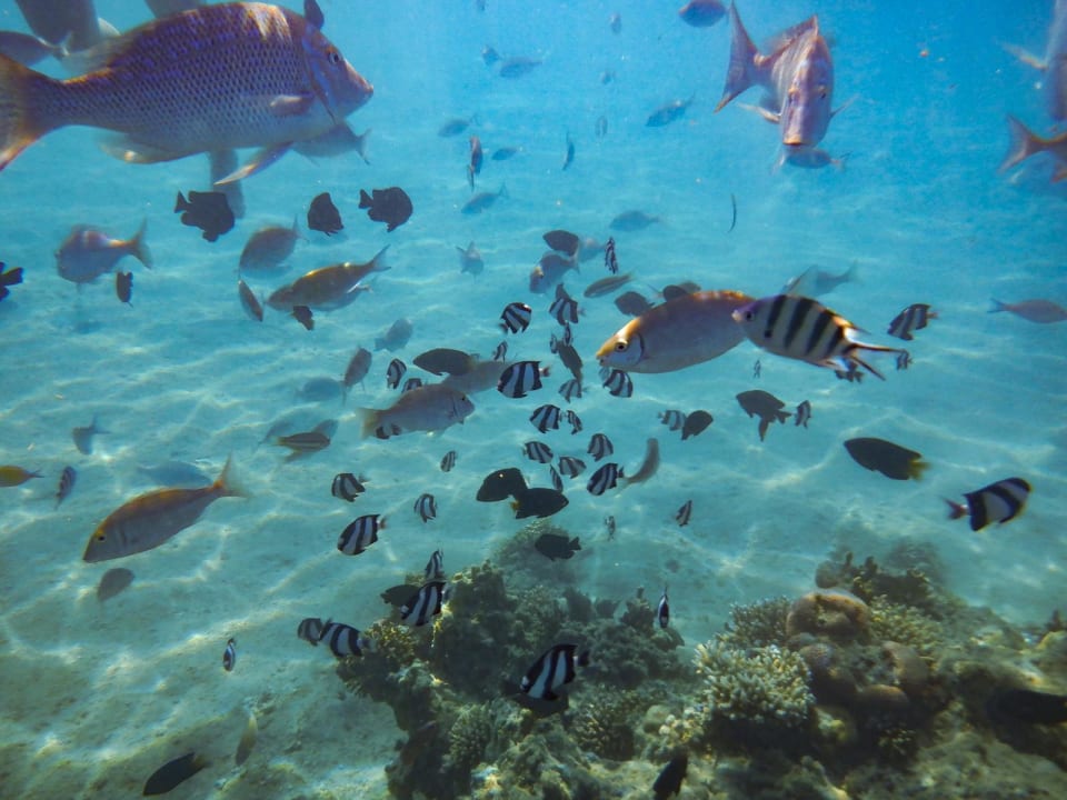 Sport & Freizeit Sentido Caribbean World Soma Bay