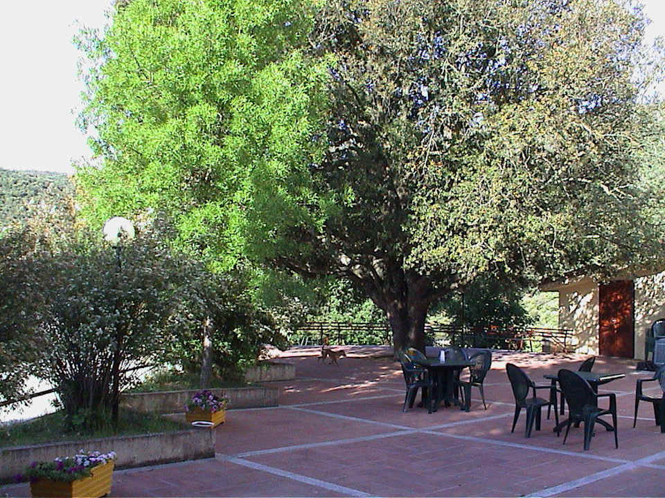 Vor dem Eingang Hotel Taloro