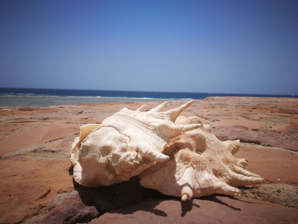 Strand Three Corners Equinox Beach Resort