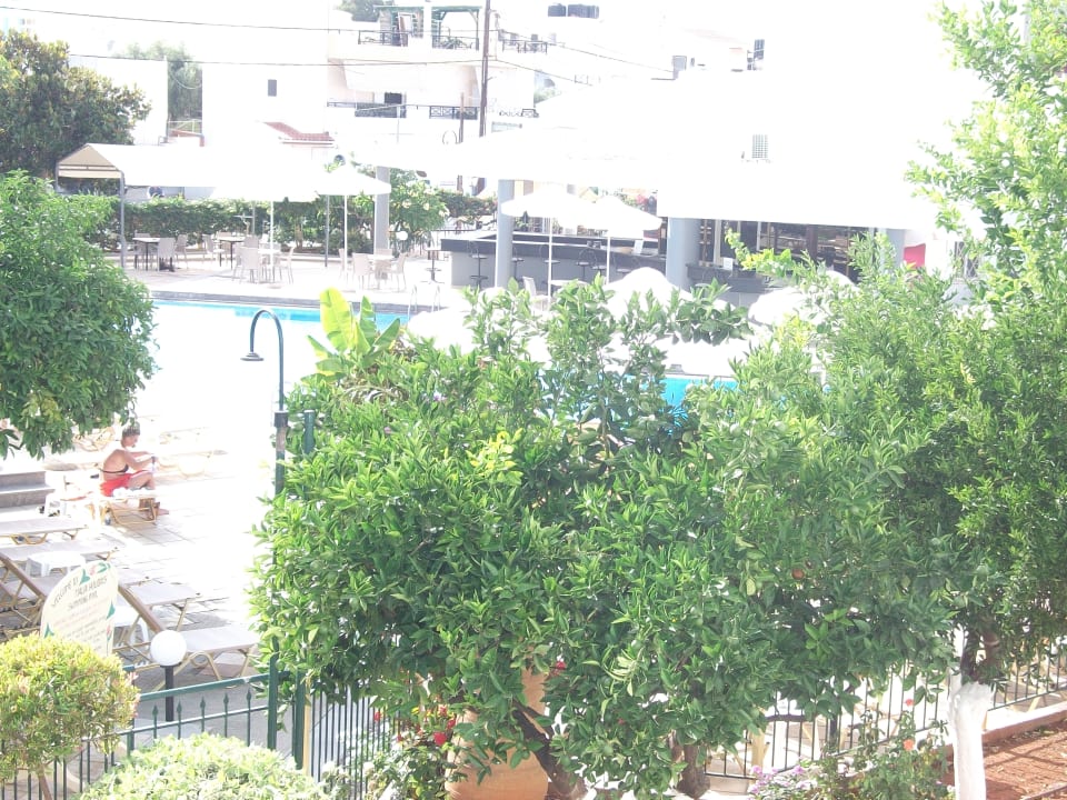 Pool Hotel Malia Holidays