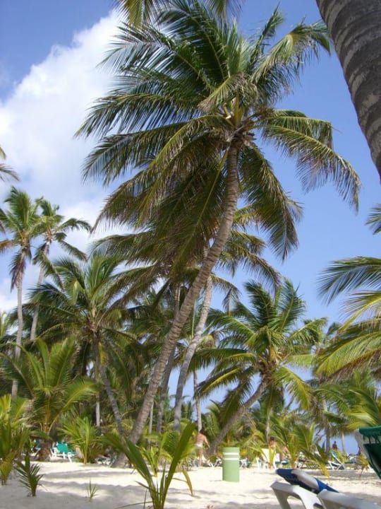 Strand Hotel Riu Palace Punta Cana