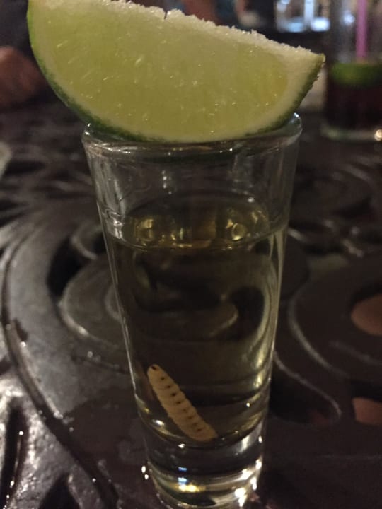 Grande Potenzia Viva Azteca by Wyndham - All Inclusive Resort