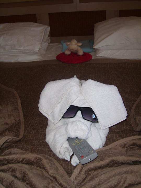 Schwein auf dem Bett HVD Clubhotel Miramar