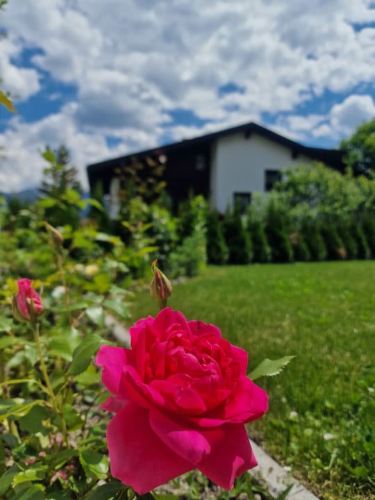 Gartenanlage Apartment Bergblick