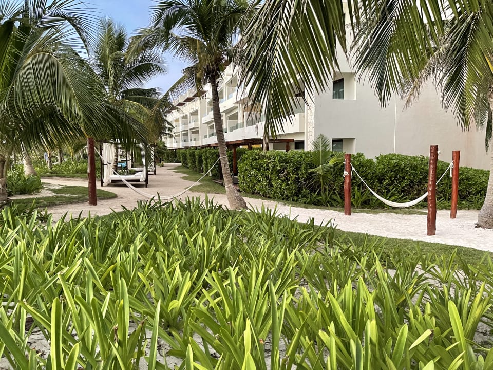 Außenansicht Akumal Bay Beach & Wellness Resort