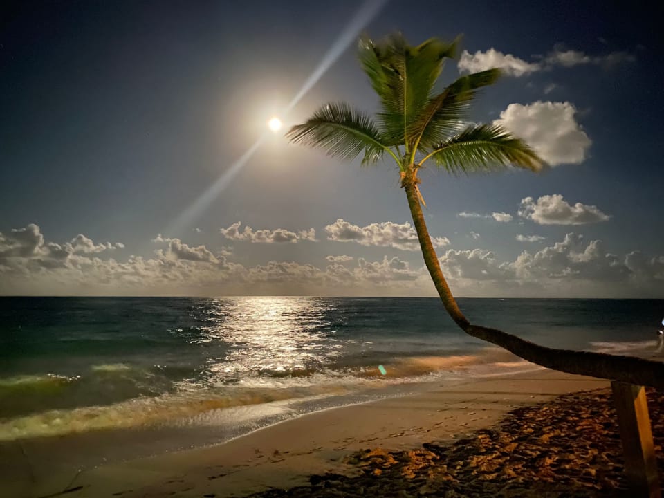 Strand Hotel Riu Palace Macao - Adults only