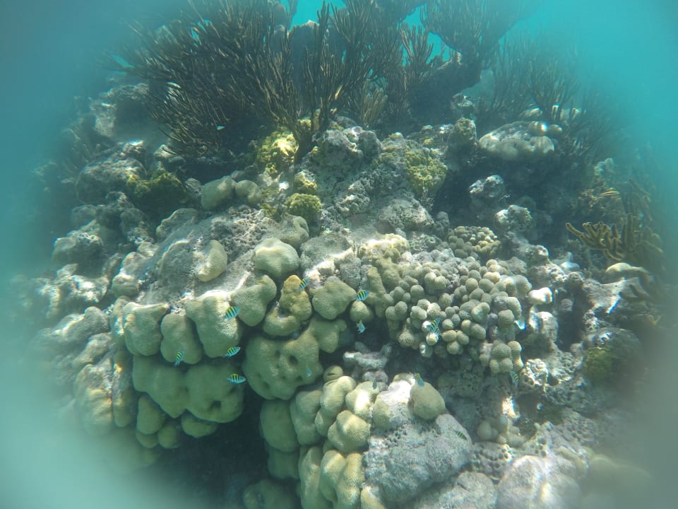 Strand Akumal Bay Beach & Wellness Resort