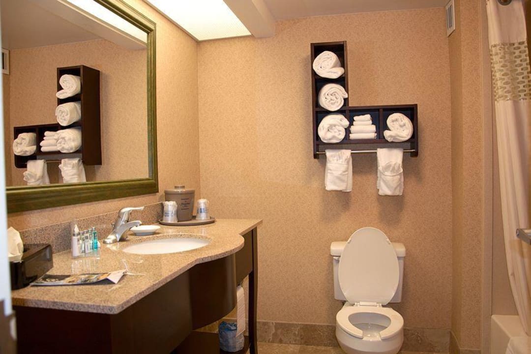 Bad/WC Zimmer 105 Hotel Hampton Inn Ellenton/Bradenton, FL