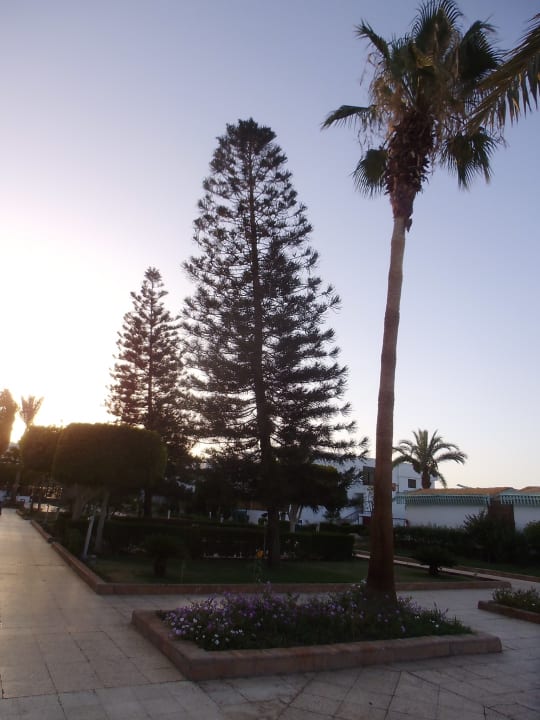 Gartenanlage Ghazala Beach