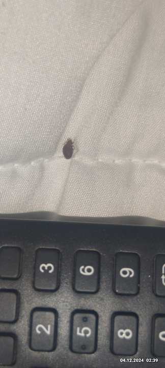 Zimmer Bliss Nada Beach Resort