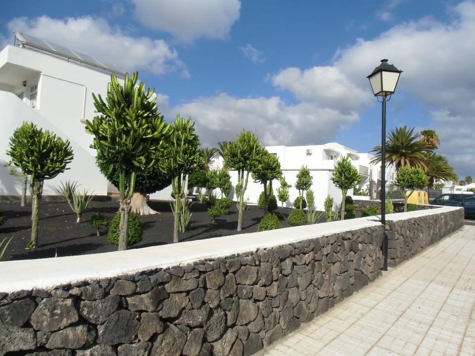 Hotelanlage Hotel Floresta