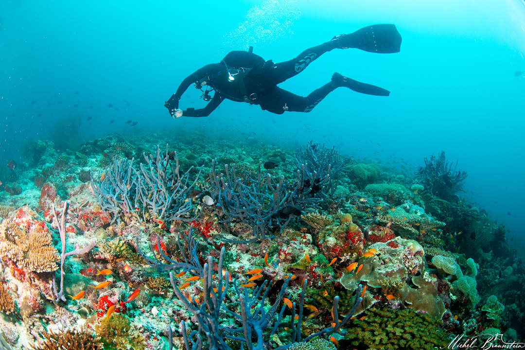 Sport & Freizeit Diamonds Thudufushi