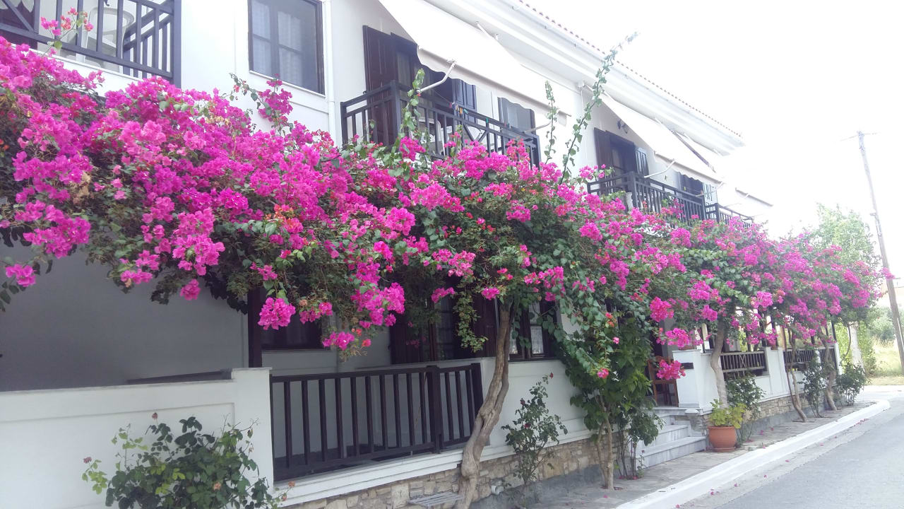 Außenansicht Hotel Angeliki