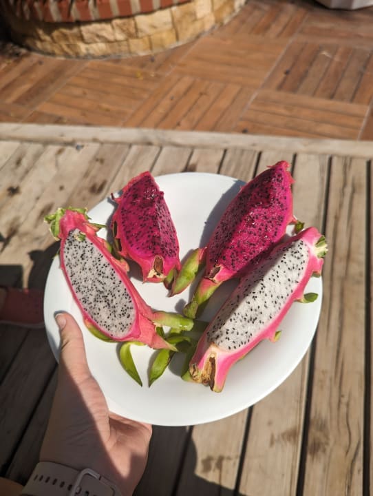 Gastro My Home Resort