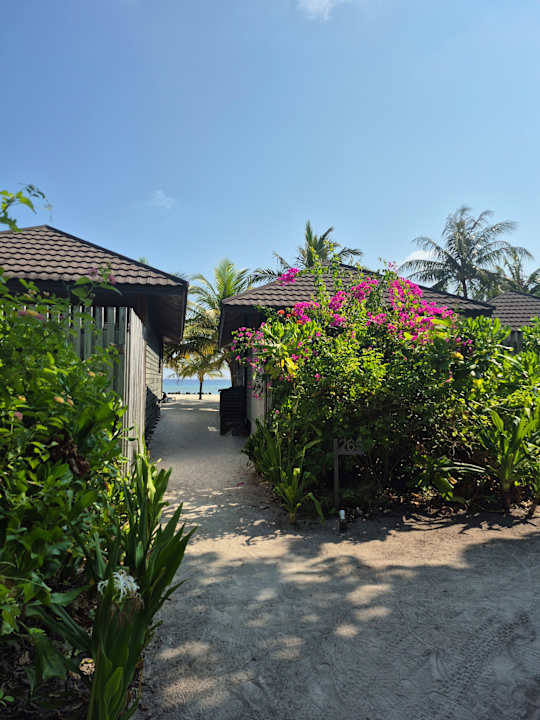 Zimmer Kuredu Island Resort & Spa