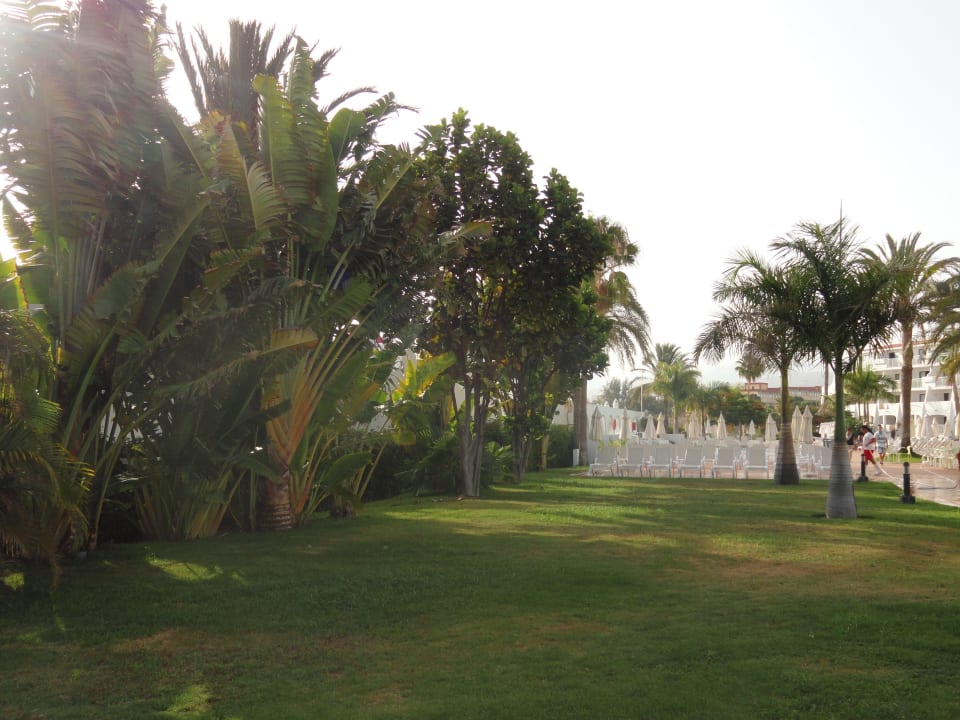 Garten Sunprime Atlantic View