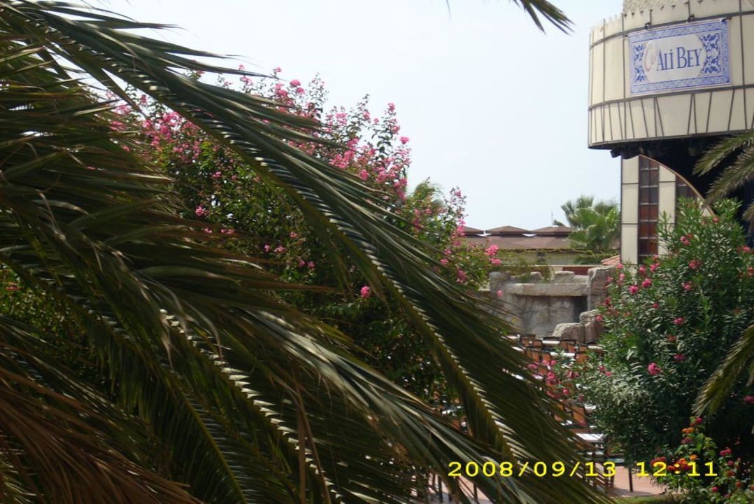 Hauptrestaurant Güral Premier Belek