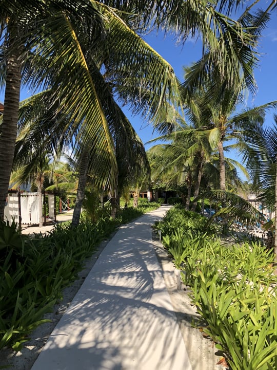 Gartenanlage Akumal Bay Beach & Wellness Resort