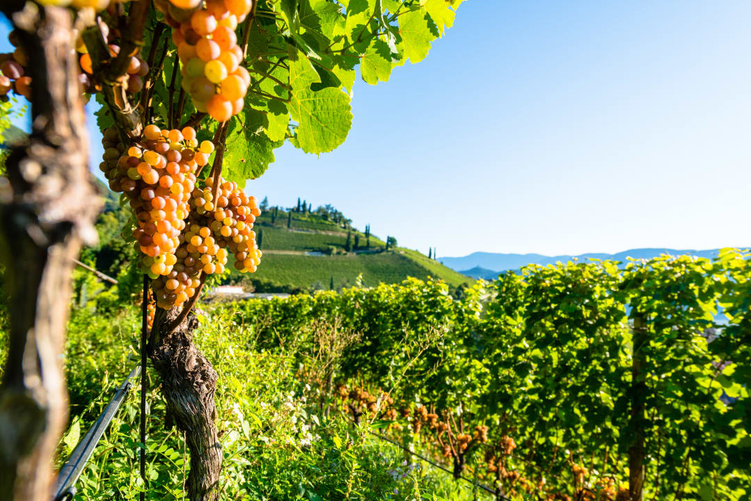 Sonstiges Hotel Plattenhof