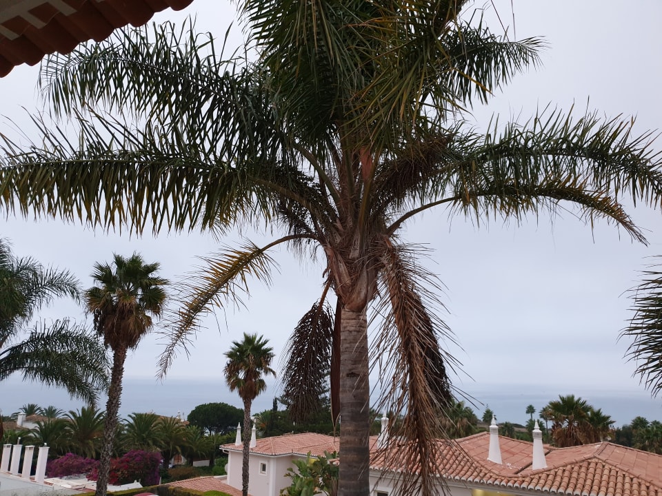 Ausblick Hotel Clube Porto Mos