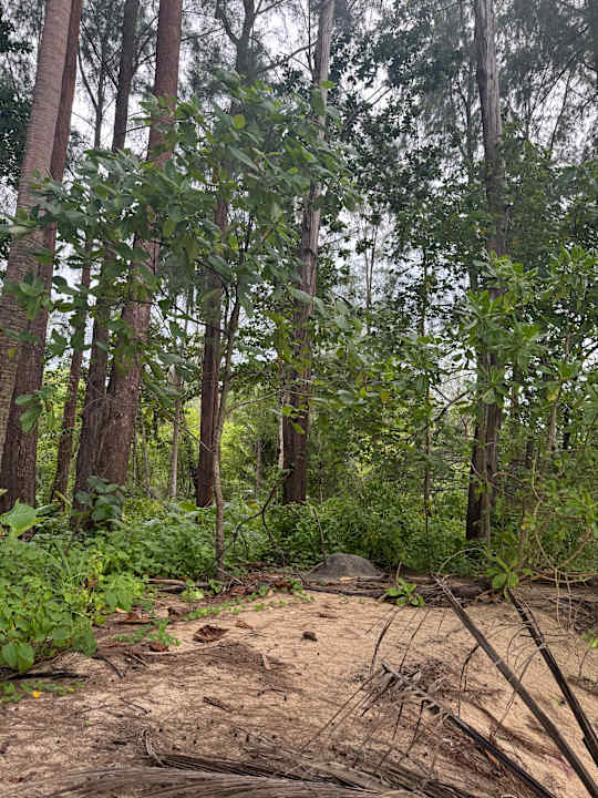 Sonstiges Bangsak Village